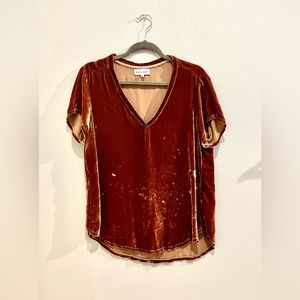 Bella Dahl Velvet V-Neck Tee